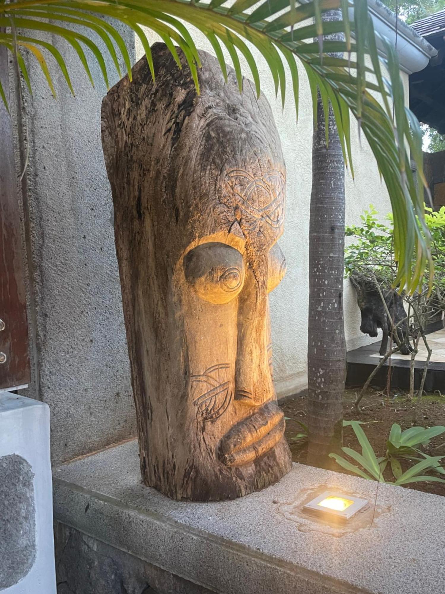 Villa Serenite Bel Ombre Bagian luar foto