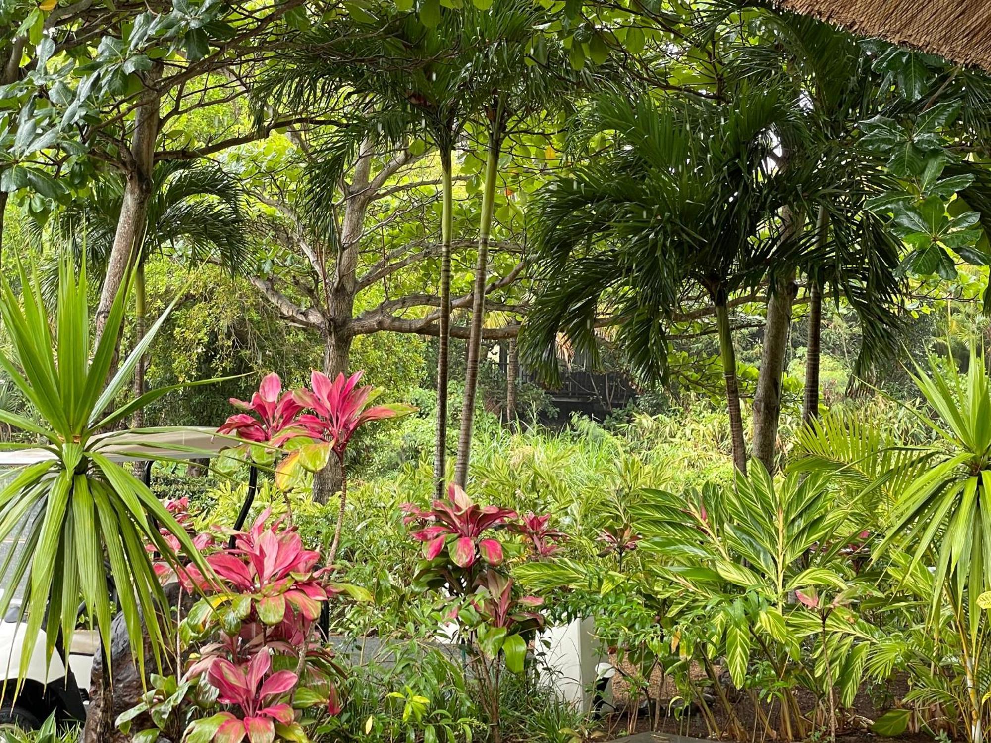 Villa Serenite Bel Ombre Bagian luar foto