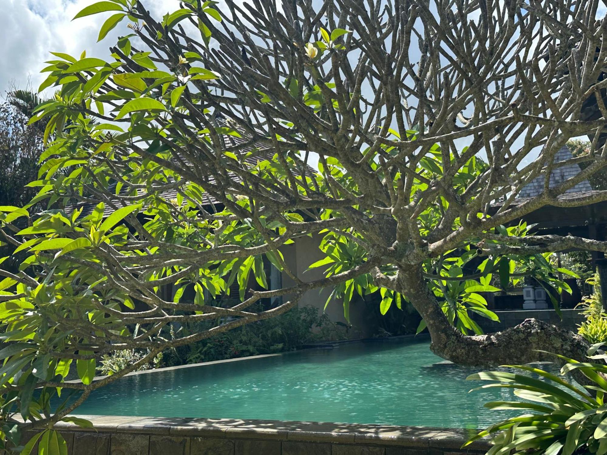 Villa Serenite Bel Ombre Bagian luar foto